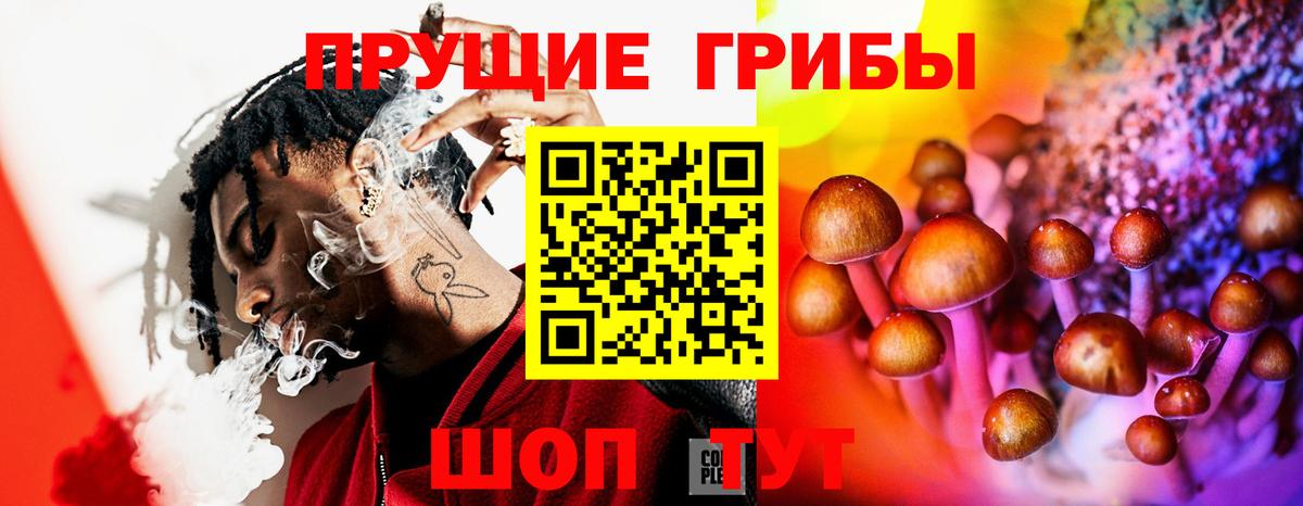 Керчь  Псилоцибиновые грибы Psilocybe  Галлюциногенные грибы прущие грибы  Вход с VPN 